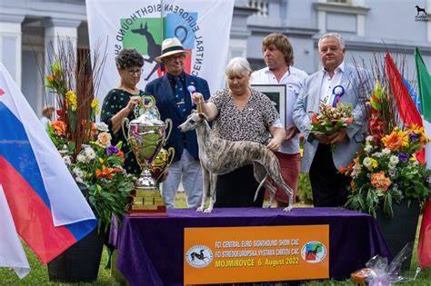 FCI štandard boxerov a členstvo klubu