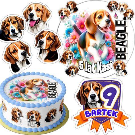 Obrázok: Beagle a Baset s roztomilými výrazmi