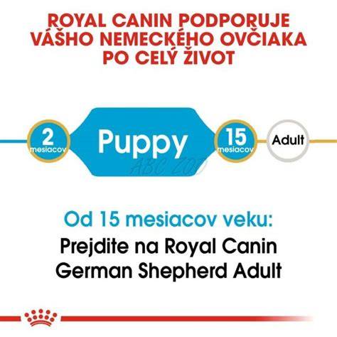 Infografika: Vzorový výcvikový plán pre kríženca nemeckého ovčiaka a westíka
