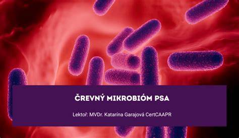 Infografika: črevný mikrobiom psa a jeho podpora probiotikami