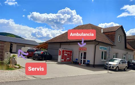 Veterinárna starostlivosť pri pôrode psa