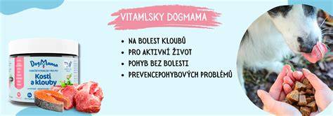 Grafika: Kolagén ako podpora kĺbov u psov