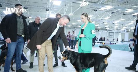 Foto: Aussies v akcii na výstave psov