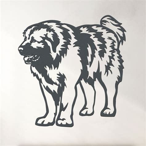 Detail hlavy Šarplaninského pasteveckého psa