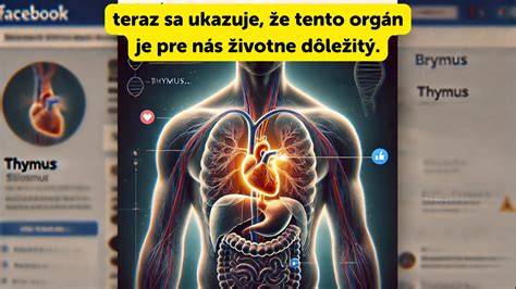 Graf: Štandardy PP vs BPP a ich význam pre zdravie psov