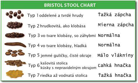 infografika: Príčiny hlienu v stolici u psa