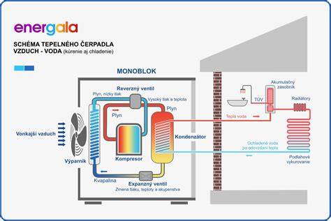Infografika: princíp fungovania elektrického obojka s prijímačom a vysielačom, typy signálov a kroky výcviku