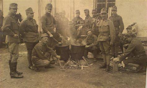 Fotografia SHS na poľovačke - typické držanie a pohyb počas vyhľadávania