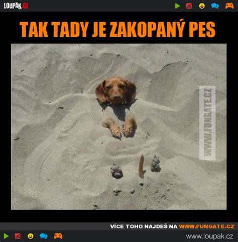 Infografika: Vznik a šírenie porekadla tam je pes zakopaný