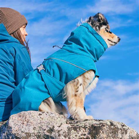 Hurtta Expedition Parka II na nemeckom ovčiakovi počas výcviku v chladnom počasí