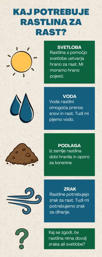 Infografika: Ačokča ako popínavá rastlina so spojovacím vzorom medzi chuťami