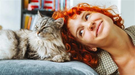 Mačka pozerajúca sa zhora na človeka