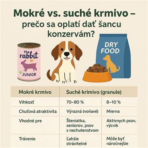 Infografika: Porovnanie typov srsti psov a tipy na starostlivosť