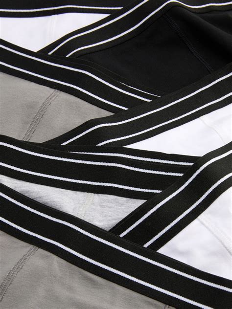 Šteniatko bígla v rôznych farbách