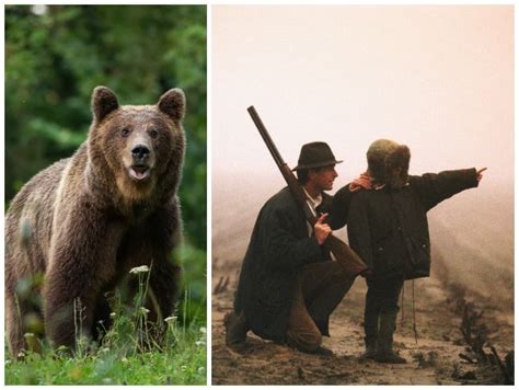 Scéna zo súboja s medveďom