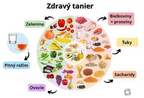 Infografika: Základné živiny psa (bielkoviny, tuky, sacharidy, vitamíny a minerály)