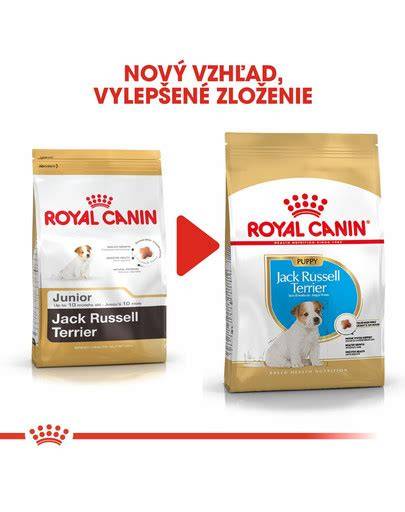 Kríženie kvalitného krmiva pre Jack Russell teriéra