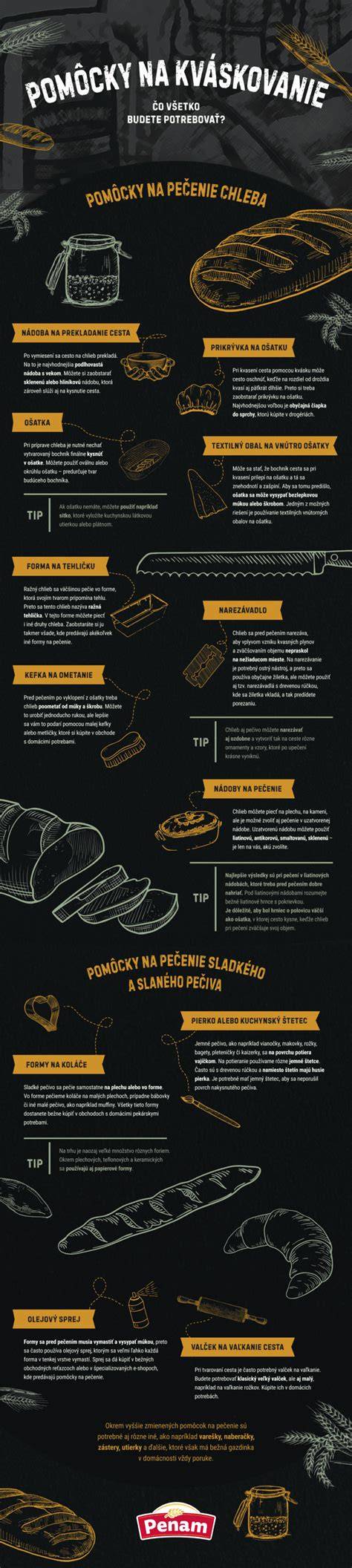 Infografika: základné pomôcky na kreslenie psa