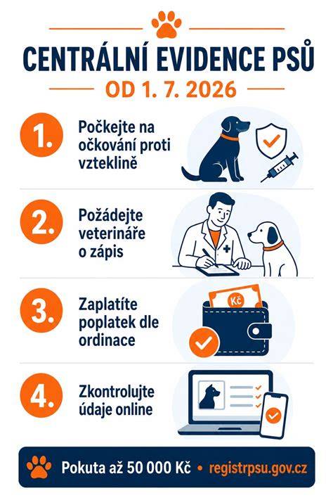 Infografika: kroky výberu psa v okolí Nitry
