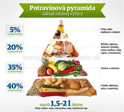 infografika BARF výživy: zloženie a princíp