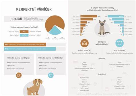 Infografika: Etymológia slova pes a možné prapôvody