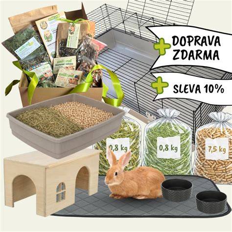 Infografika: základné potreby korely - klietka, krmivo, kúpeľna miska a bidlá