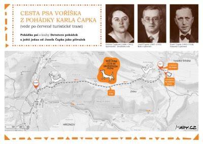 Infografika: Cesta psa od opustenosti k novému domovu