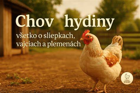 Infografika: Charakteristiky mopsa, ich veľkosť, hmotnosť a farebné varianty