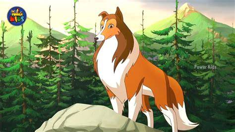 Obrázok: Lassie a kólia - ikonické zobrazenia