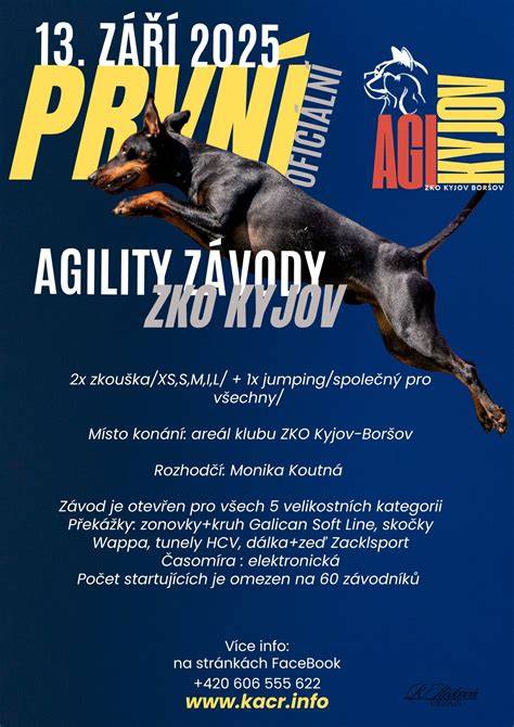 Infografika: Cesty vývoja agility klubu Dobrý pes (2002-2026)