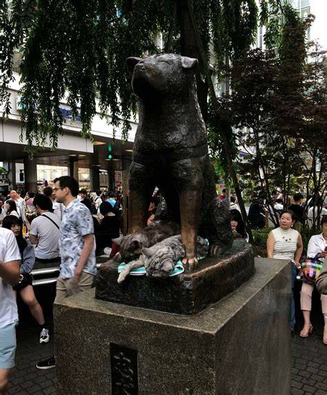 Fotografia učitého psa Hačikó pri stanici Shibuya