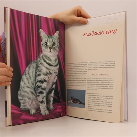 Ilustrácia metabolizmu mačiek