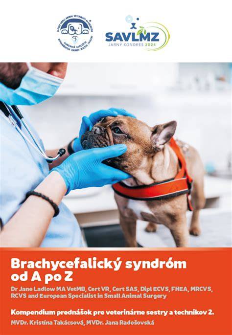 Infografika: Brachycefalický syndróm a dýchacie cesty psa