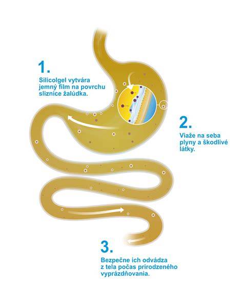 Infografika: Ako funguje dimetikón a jeho účinok na parazity na srsti