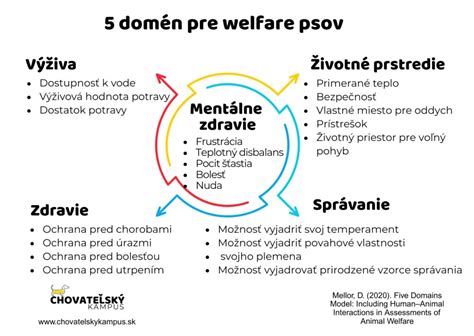 Infografika o etických pravidlách chovu psov a welfare psov v EÚ