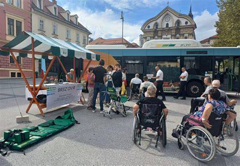 Fotografia bígla so štandardnými znakmi: uši, oči, chvost