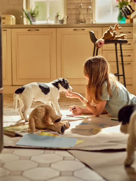 Ilustračná schéma správneho dávkovania krmiva pre psa