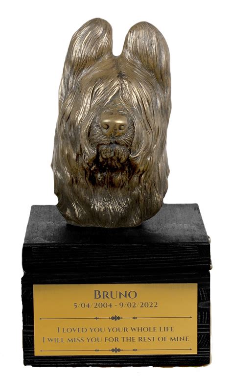 Francúzsky ovčiak Briard s rodinou