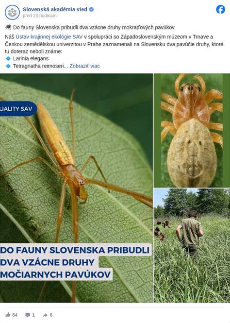 Infografika: Rozdelenie jedovatých pavúkov v Strednej Európe a ich charakteristika