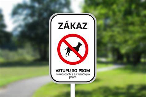 Infografika: pravidlá vstupu so psom v Bratislave a Auparku