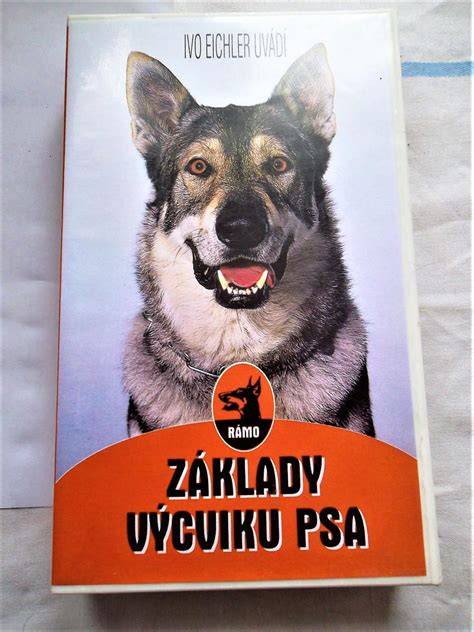 Infografika: Základy efektívneho výcviku psa a princípy motivácie