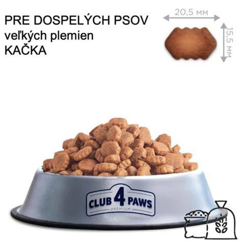 Obrázok: Sprievodný prehľad veľkých plemien psov a ich typických charakteristík