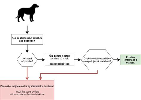 Schéma identifikácie psa pomocou čipu a známky