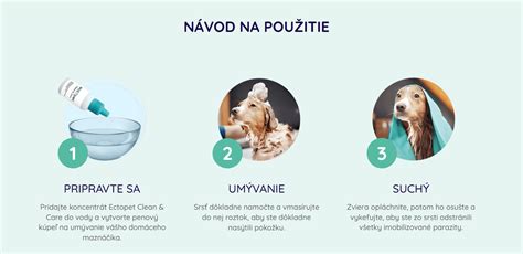 Infografika o kožných problémoch psov