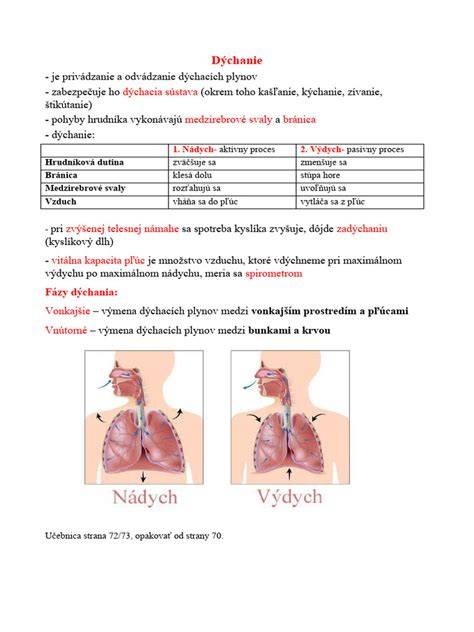 Obr. 2: Umelé dýchanie