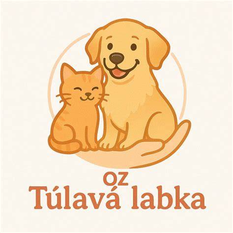 Infografika: proces záchrany a adopcie zvierat v útulku Túlavá labka