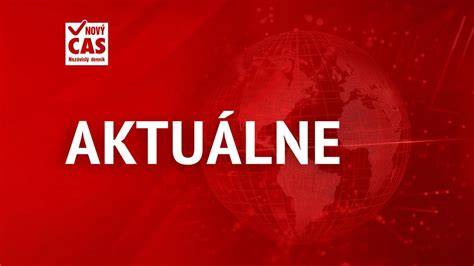 Bernardíny na pastvine vo Švajčiarsku