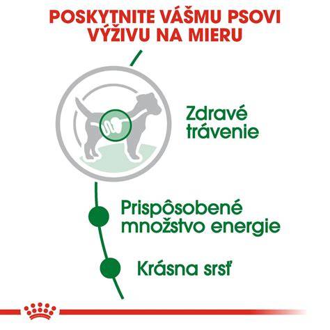 Schéma porovnania veľkosti a temperamentu malých plemien psov