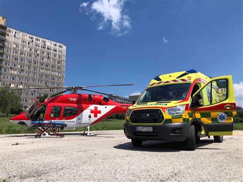 zdravotná starostlivosť o írskeho setra