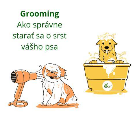 Infografika: Ako správne vyberať a starať sa o psa